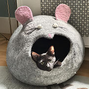 Tables Have Turned Mouse Shaped Cat House