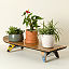 Recycled Skateboard Display Stand thumbnail 2