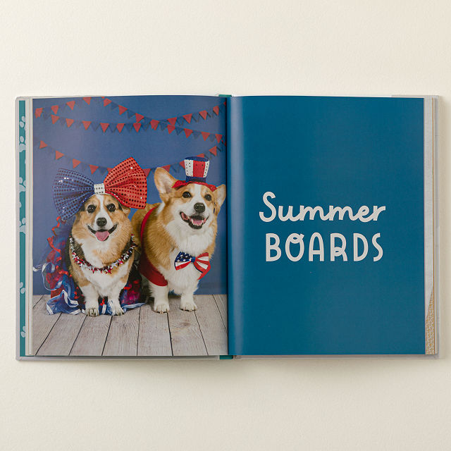 Barkcuterie: Pawesome Pup Snack Cookbook