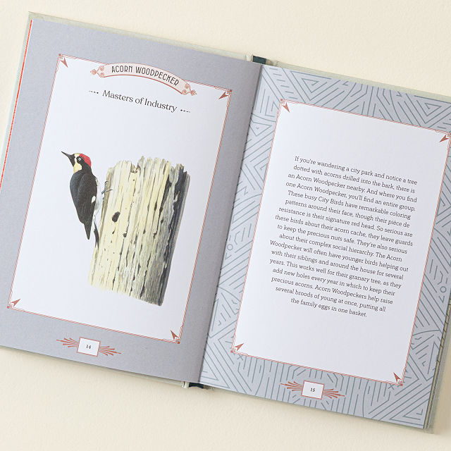 City Bird Metro Bird Guide