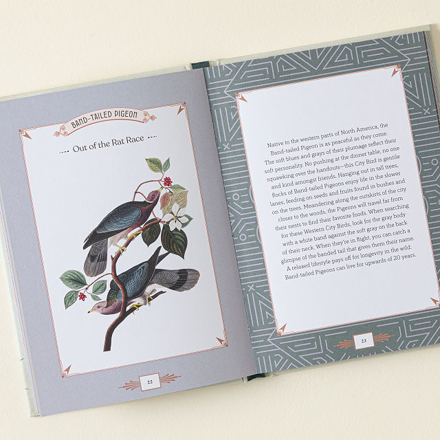 City Bird Metro Bird Guide