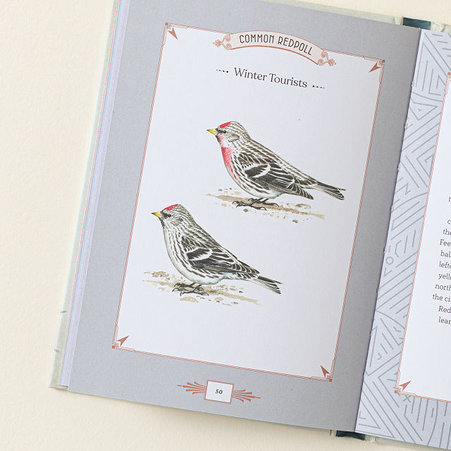 City Bird Metro Bird Guide