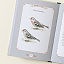 City Bird Metro Bird Guide thumbnail 4