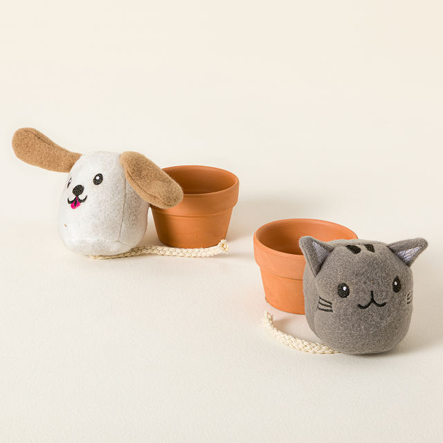It&#8217;s Sprouting Cats & Dogs, 2 Grow Kits