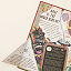 The Wizard&#8217;s Guide to Magical Experiments thumbnail 2