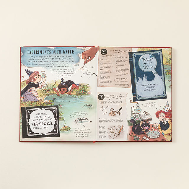 The Wizard&#8217;s Guide to Magical Experiments