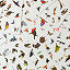 Race to Spot the Birds Family Card Game thumbnail 3