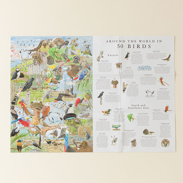 Around the World in 50 Birds Jigsaw Puzzle