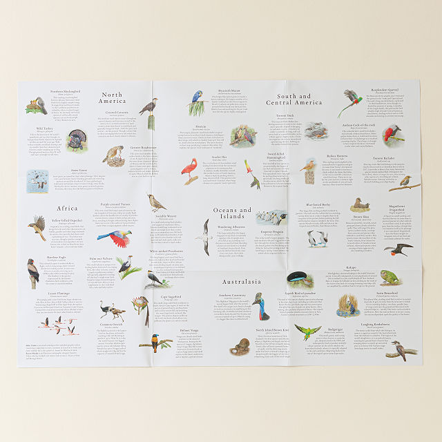Around the World in 50 Birds Jigsaw Puzzle