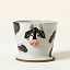 Mootilda the Ice Cream Bowl thumbnail 2