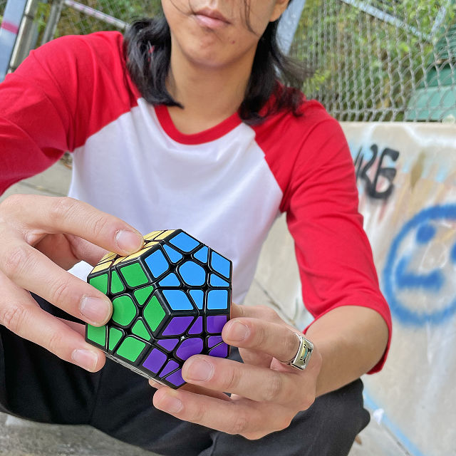 Twist & Solve: Dodecahedron Puzzle