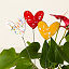 Enamel Copper Hearts Garden Stakes thumbnail 1