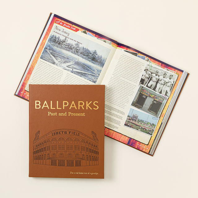 Ballparks Past and Present Premium Book