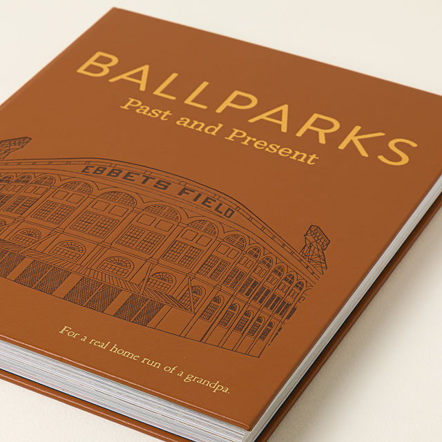 Ballparks Past and Present Premium Book