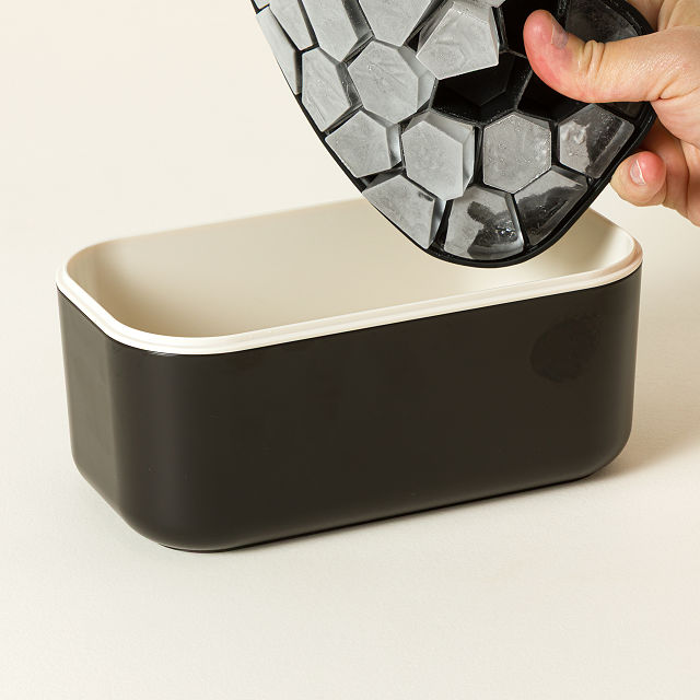 Ice Cube Tray & Storage Bin