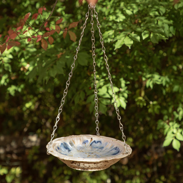 Blue-Jay Inspired Bird Feeder
