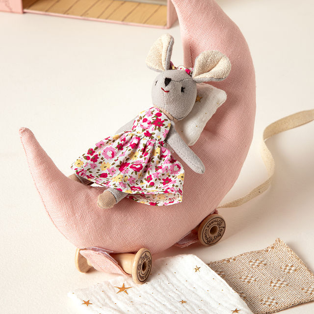 Magnetic Mouse on the Moon Pull Car