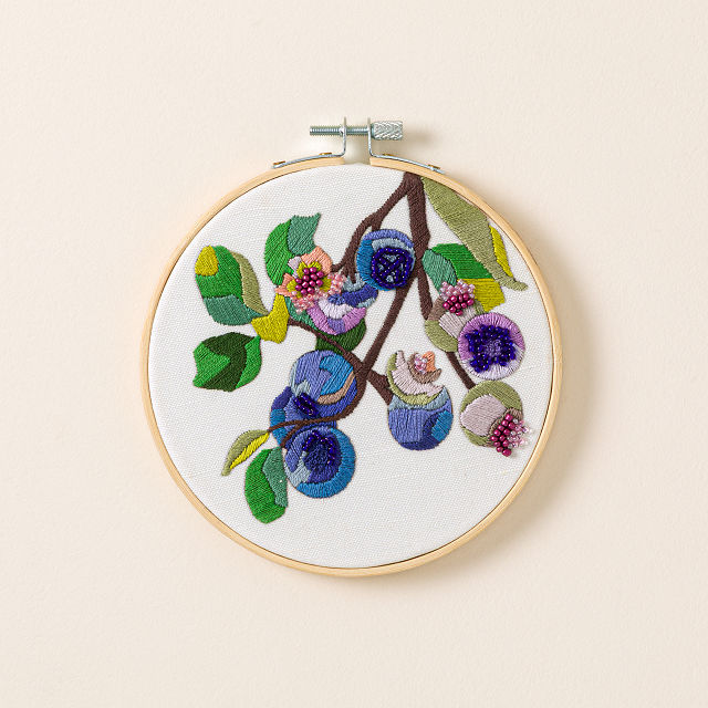 Beginners Botanical Embroidery by Numbers Kit