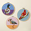 Beginners Bird Embroidery by Numbers Kit thumbnail 1