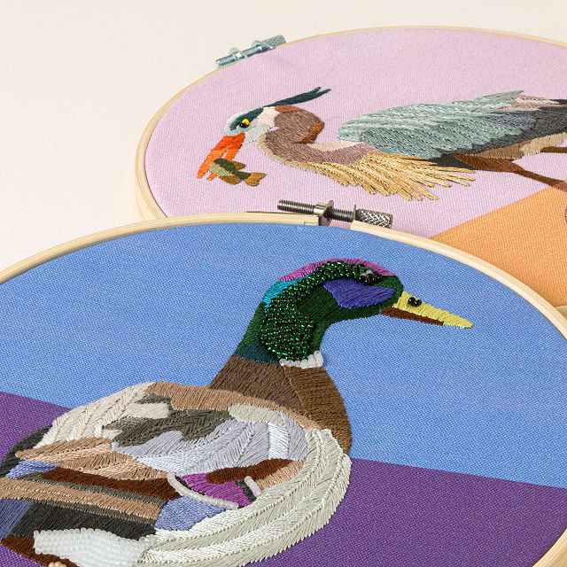 Beginners Bird Embroidery by Numbers Kit