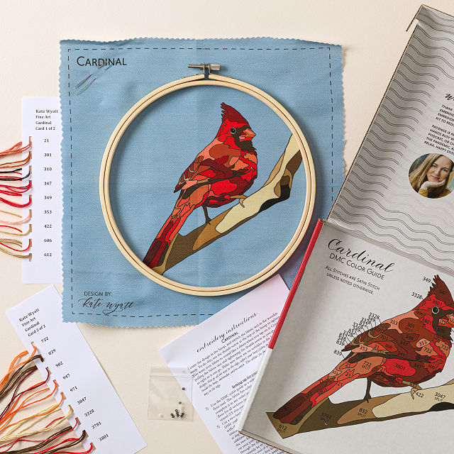 Beginners Bird Embroidery by Numbers Kit