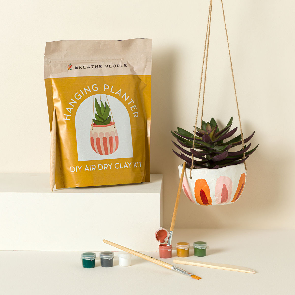 DIY Clay Hanging Planter Kit