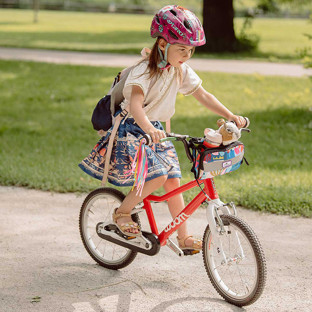 2-in-1 Handlebar & Crossbody Bag