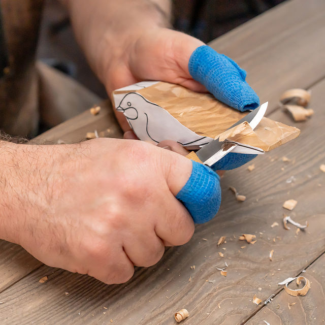 Bird in Hand Beginners Whittling Kit
