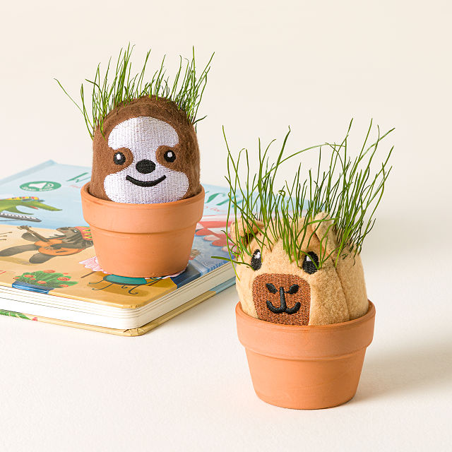 Capybara & Sloth Mini Grow Pals- Set of 2