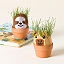 Capybara & Sloth Mini Grow Pals- Set of 2 thumbnail 1
