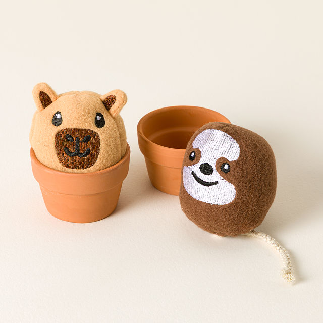 Capybara & Sloth Mini Grow Pals- Set of 2