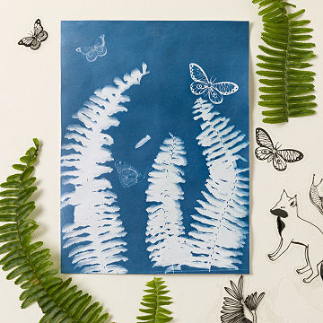 Layer With Nature Sun Print Kit