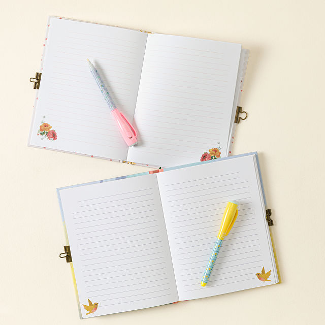 Locked Journal with Invisible Ink Pen