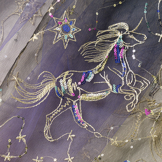 Celestial Sparkle Constellation Cloak