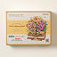 DIY Blooming Book Building Kit thumbnail 4