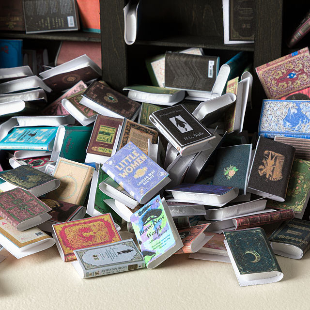 Shake a Shelf Stress Relief Book Nook