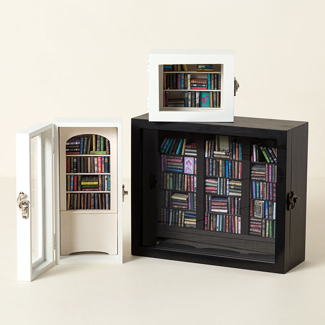 Shake a Shelf Stress Relief Book Nook