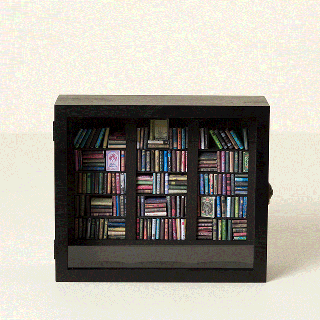 Shake a Shelf Stress Relief Book Nook