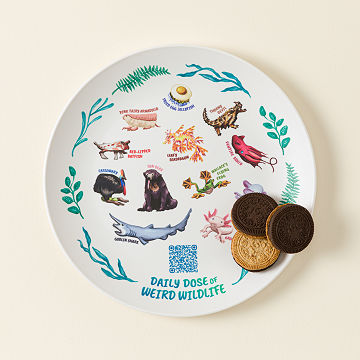 Weird Animal Fact Everyday QR Kids Plate