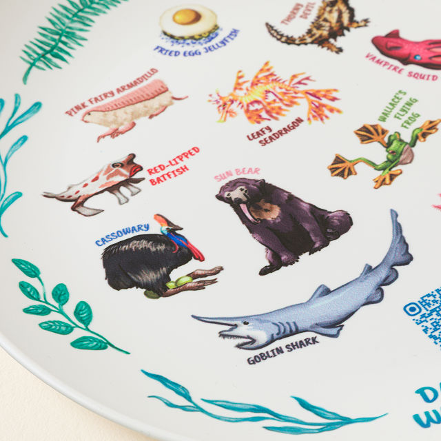Weird Animal Fact Everyday QR Kids Plate