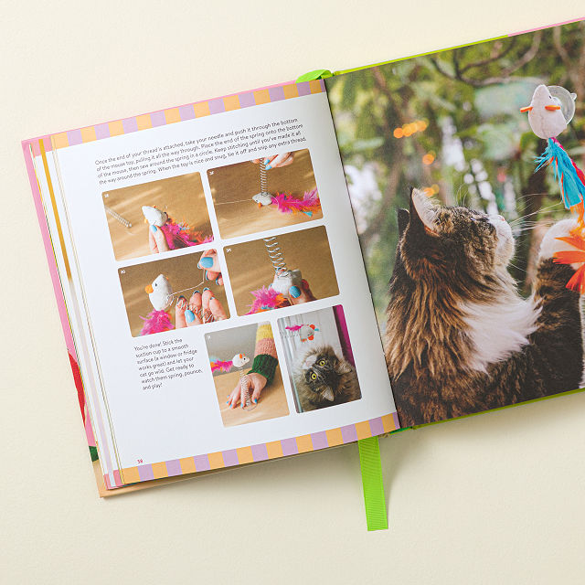 Crafting For Your Cat