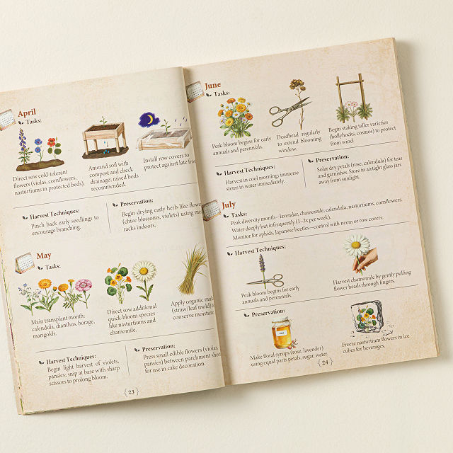 Edible Flower Seed Bank & Almanac Gift Set