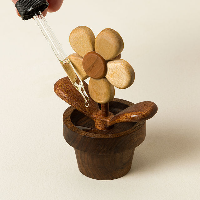 Flowerpot Diffuser & Desk Spinner