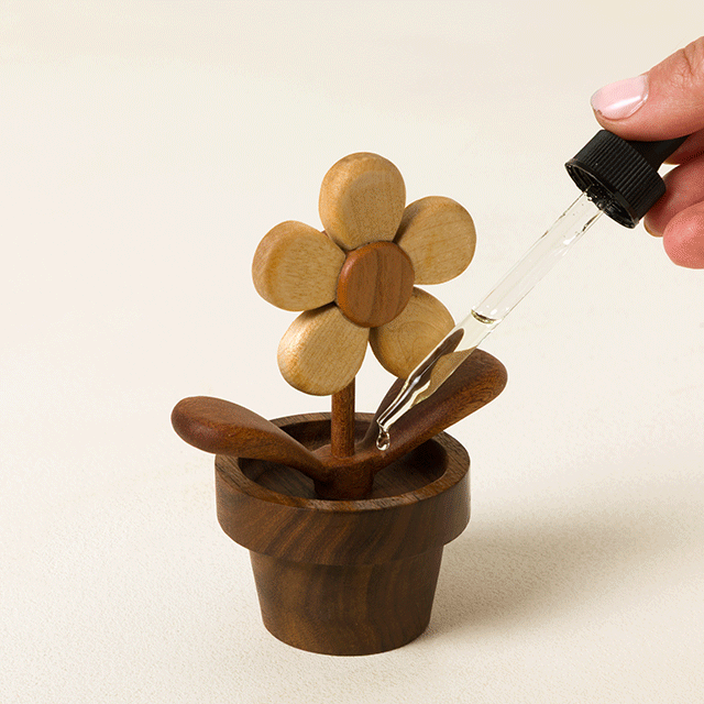 Flowerpot Diffuser & Desk Spinner