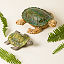 Ceramic Garden Turtles thumbnail 1