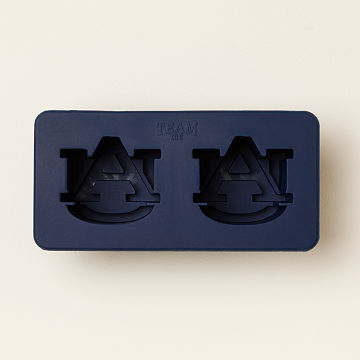 Show Your Spirit! College Ice Molds