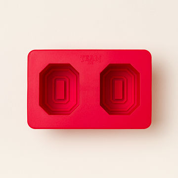 Show Your Spirit! College Ice Molds