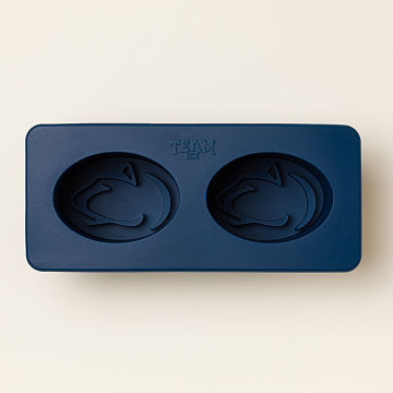Show Your Spirit! College Ice Molds