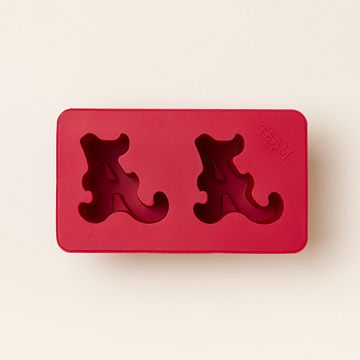 Show Your Spirit! College Ice Molds