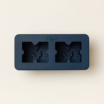 Show Your Spirit! College Ice Molds